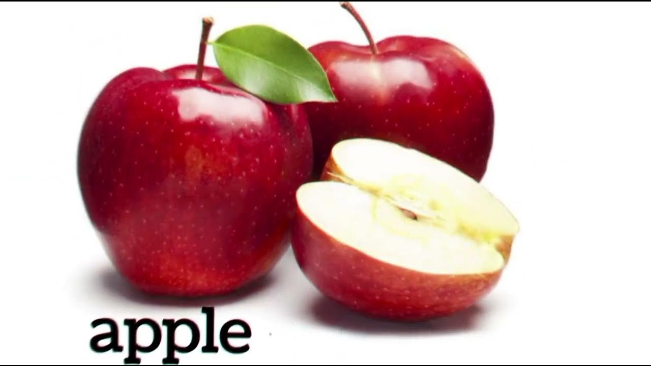 fruits name . nursery ,pg, Lkg, ukg, 1st class YouTube