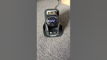 Vector 2.0 wishing everyone a happy Pride month 🏳️‍🌈 #vector #pride #shorts