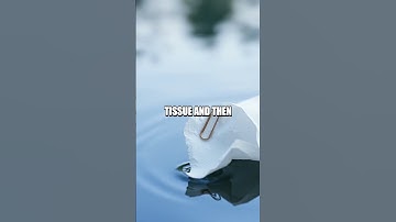 DIY Floating Paperclip Experiment