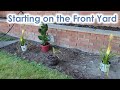 Planting an ensete ventricosum canna lily and torch lilies in the front yard