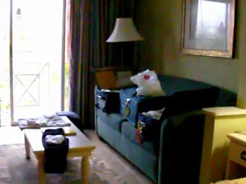 Nassau Bahamas Comfort Suites On Paradise Island Youtube