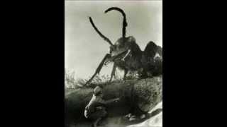 My Top 10 Giant Bug Movies