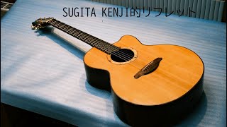 SUGI CRAFT SJ Cutaway|ドルフィンギターズ
