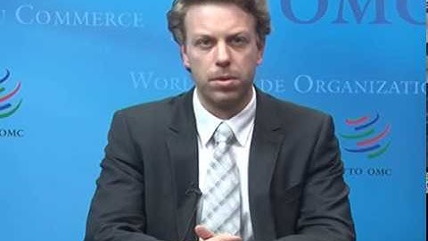 Accession to the WTO