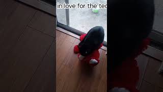 Bro is really in love with 🧸🧸🧸🧸🧸