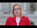 Liz Cheney issues bad news for Trump live on air