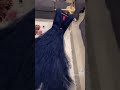فستان سهرة كحلي طويل فستان سهرة كحلي طويل