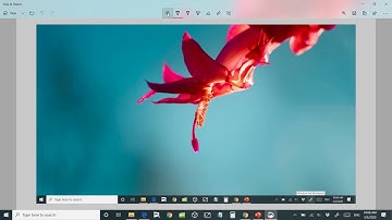 How to enable Windows Ink Workspace and how to use
