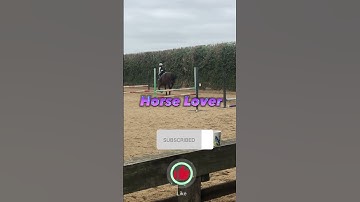 My New Intro!!!! #horse #horseriding #equestrian #equine 🐴🐎