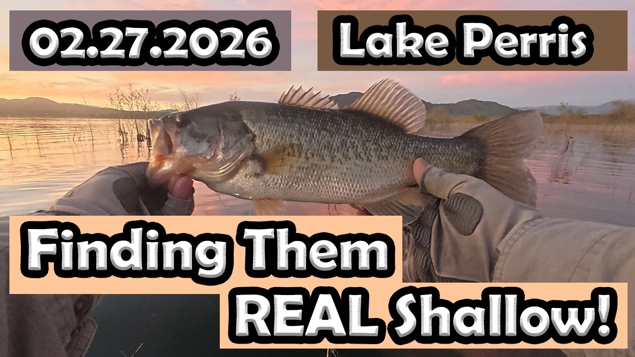 I Explored Even Shallower at Lake Perris… Still Caught 5 Bass