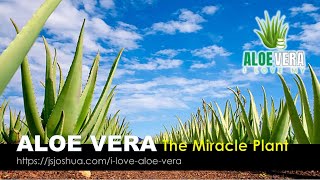 ALOE VERA The Miracle Plant l JS Joshua