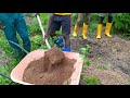 Comment planter un Arbre : Safoutier / Par Alain Zazou à la Ferme Ecopark Green Producers