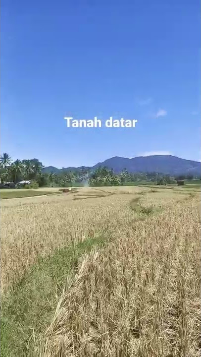 Tanah datar sumatera barat
