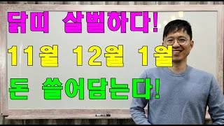 명리학으로 본 23년 계묘년 11월, 12월, 1월의 닭띠의 대박 운세(45년, 57년, 69년, 81년, …