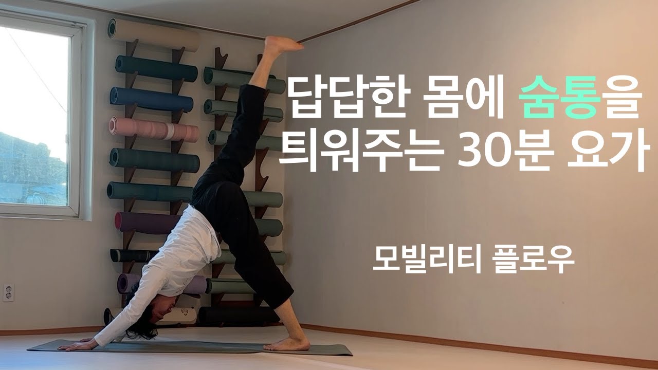 흔들리지 않는 뿌리 만들기: 숨통이 트이는 하체 집중 30분 모빌리티 플로우 | 몸의집