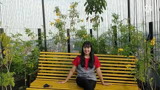 Ai Xiang Sui - Emil Chow