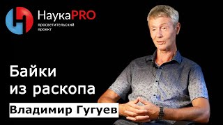 Байки из раскопа: интересные случаи из жизни археологов - Владимир Гугуев | Научпоп