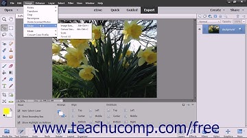 Photoshop Elements 2018 Tutorial Image Size & Resolution Settings Adobe Training
