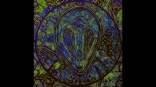 PARADOXICALPARADIGM - ALIEN MINDSET