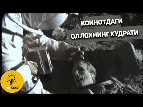 Video: Сирло тору деген эмне?