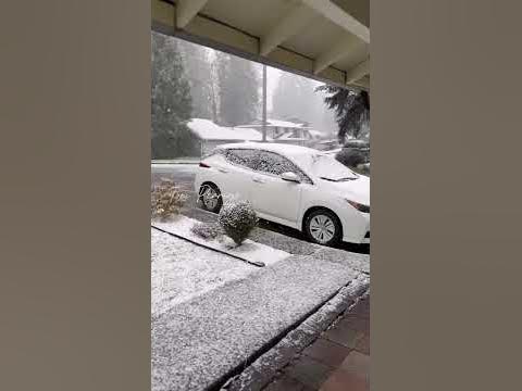 Our First Day of Snow in 2025. winter snow YouTube