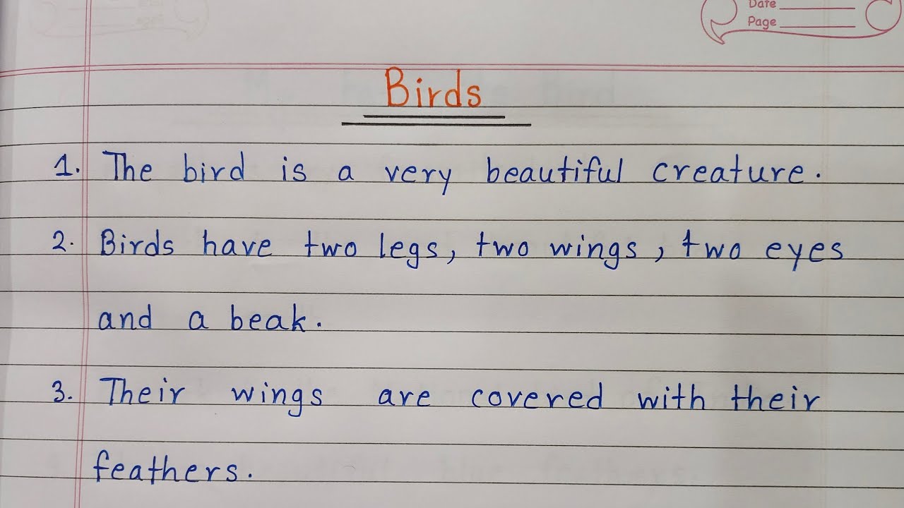 essay on bird in english for class 3