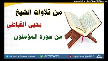 من روائع التلاوات من سورة المؤمنون | الشيخ يحيى القباطي