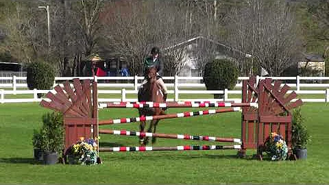 Video of QUESTER DE VIRTON ridden by HEATHER HOOKE...