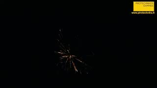 P7151 F2 2018
