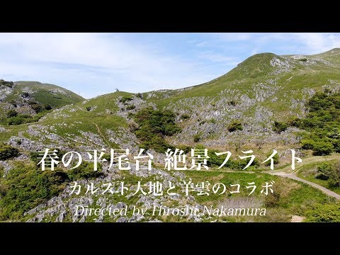 クリエイトバリュー