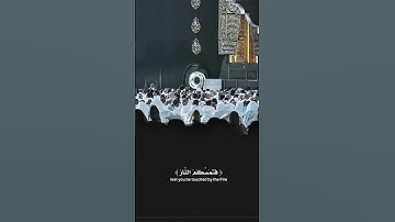 ☝️ فاستقم كما أمرت ومن تاب معك ولا تطغوا || سورة هود | #القرآن_الكريم