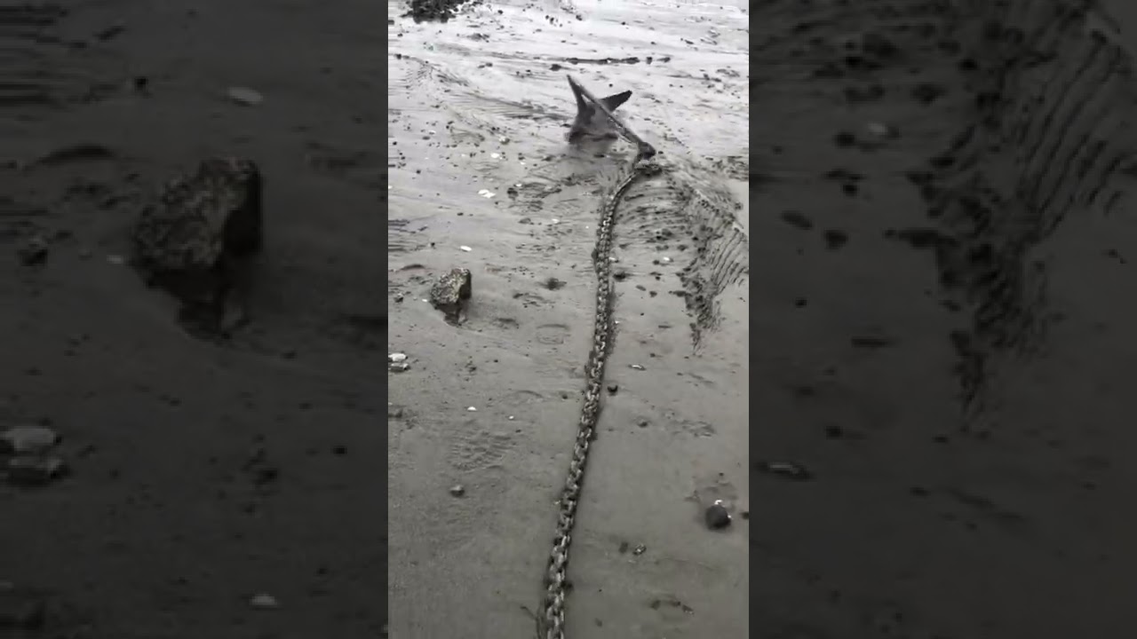 Anchor Untangling & Setting in Sand