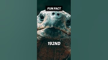 Fun Fact: 🐢👴 Almost 200 Years?!?! #shorts #facts #viral #nature #turtle