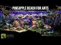 I Created a Pineapple Beach Vivarium for Ants | Super Relaxing Video