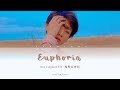 Jungkook BTS (방탄소년단) - Euphoria (INDO/Lyrics)