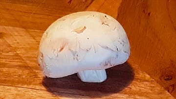 Knowledge Precedes Skill PSYC4191 2018