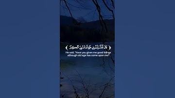 القران الكريم/القارئ هزاع البلوشي/اكتب شىء تؤجر عليه