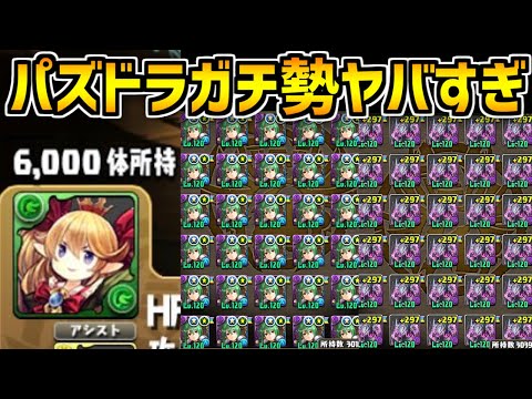 パズドラを極めたガチ勢たちがヤバすぎる。【パズドラ】