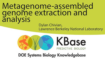 Metagenome-assembled Genome Extraction and Analysis