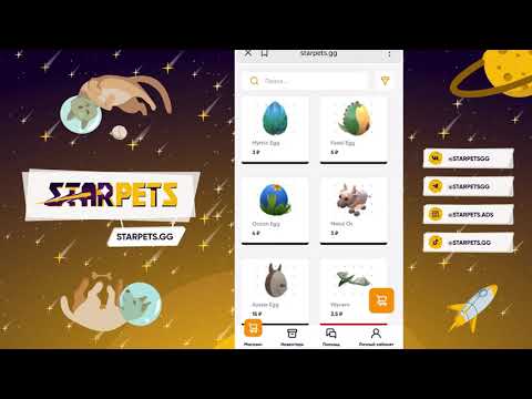 ЧТО ДЕЛАТЬ ЕСЛИ НЕ ВЫДАЕТ БОТА НА STARPETS?
