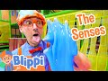 Blippi learns the 5 senses at a play place  blippi full episodes  educationals  blippi toys