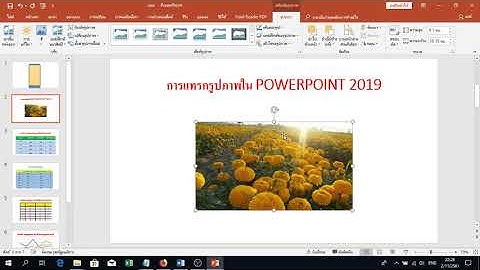 การแทรกรูปภาพ Powerpoint 2019 มาเรียนรู้การแทรกรูปภาพ Powerpoint 2019 กัน