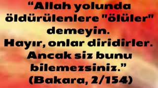 İdli̇b Şehi̇tleri̇...28.02.2020..Osman Öztunç Şehi̇tler Ölmez..