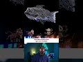 The Biggest Drone Light Show In China
