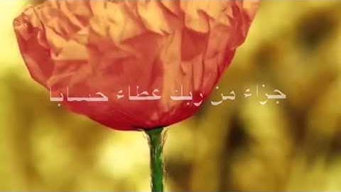 معاذ الجماز - سورة النبأ