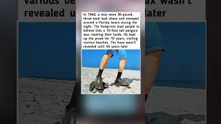 A Man wore 30-pound, Three-toed lead shoes
