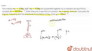 Two masses `m_(1)=1.0 kg   and   m_(2)=0.5 kg ` are suspended together by a massless