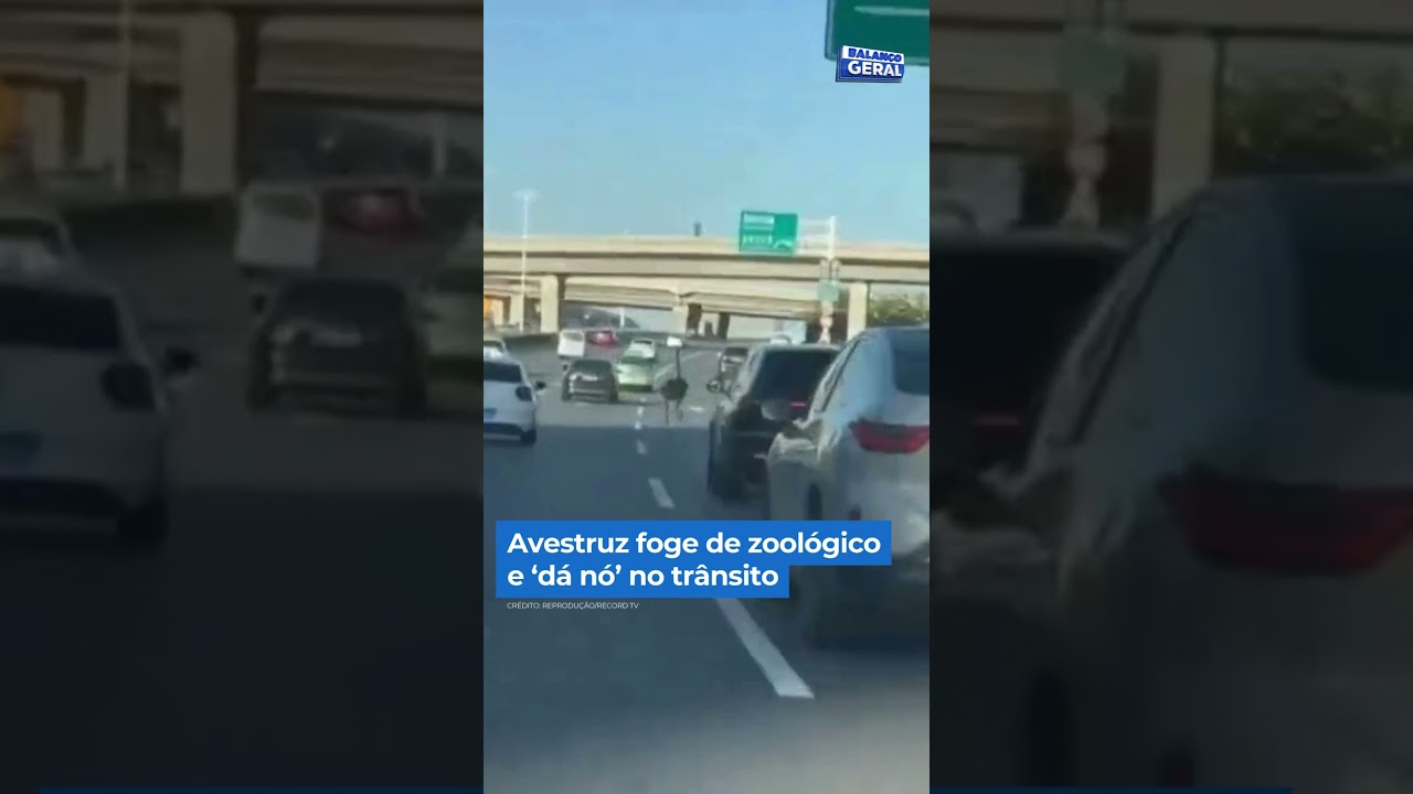 Avestruz foge de zoológico e ‘dá nó’ no trânsito #shorts