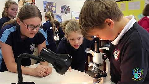 Life at The Willink School - Open Evening 2020