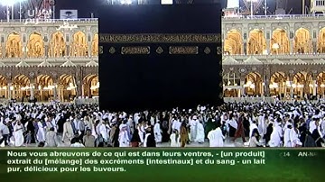 سورة النحل : محمد محمود الطبلاوي Saudi Quran HD - Tablaoui